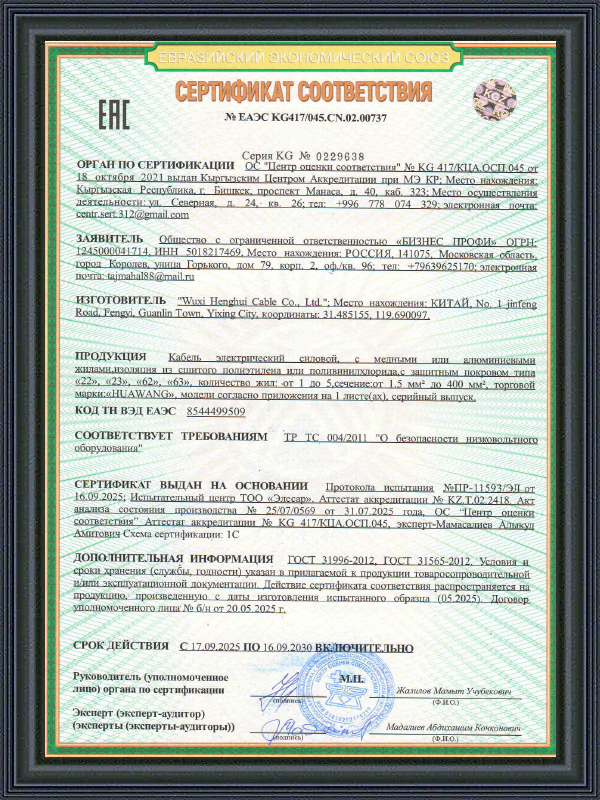 Stroomkabel EAC COC-certificaat
